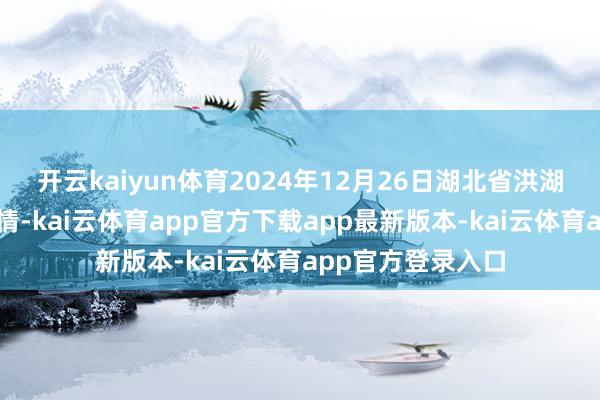 开云kaiyun体育2024年12月26日湖北省洪湖农贸商场价钱行情-kai云体育app官方下载app最新版本-kai云体育app官方登录入口