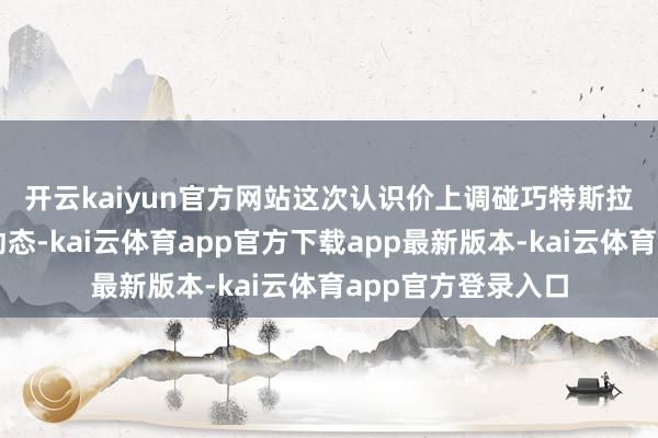 开云kaiyun官方网站 这次认识价上调碰巧特斯拉濒临复杂的阛阓动态-kai云体育app官方下载app最新版本-kai云体育app官方登录入口