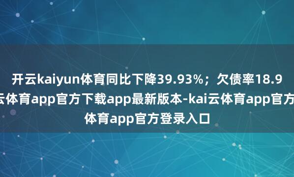 开云kaiyun体育同比下降39.93%；欠债率18.96%-kai云体育app官方下载app最新版本-kai云体育app官方登录入口