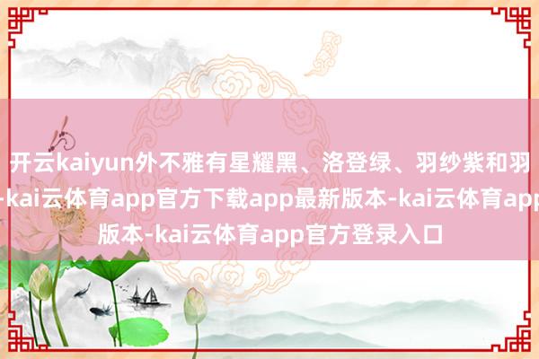 开云kaiyun外不雅有星耀黑、洛登绿、羽纱紫和羽纱白四种配色-kai云体育app官方下载app最新版本-kai云体育app官方登录入口