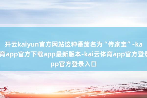 开云kaiyun官方网站这种番茄名为“传家宝”-kai云体育app官方下载app最新版本-kai云体育app官方登录入口