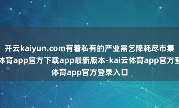 开云kaiyun.com有着私有的产业需乞降耗尽市集-kai云体育app官方下载app最新版本-kai云体育app官方登录入口