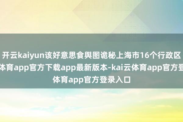 开云kaiyun该好意思食舆图诡秘上海市16个行政区-kai云体育app官方下载app最新版本-kai云体育app官方登录入口